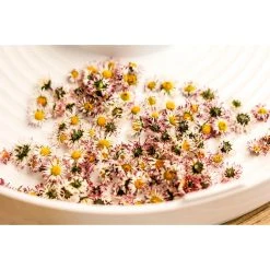 Rommelsbacher Aufsatz Dörretagen DE 100 -KALDEWEI-Shop 8600269300 1518877 prod 006