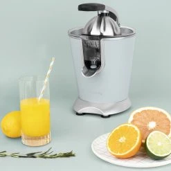 HKoenig AGR86 Edelstahl Profi Zitruspresse 160 W -KALDEWEI-Shop 8600298500 94996 prod 006