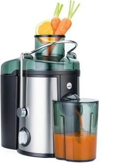 WILFA Entsafter, Für Gemüse Und Obst, Aus Rostfreiem Stahl, 400 Watt Motor, JU1S-400, Silber -KALDEWEI-Shop 8600364500 609913 prod 002