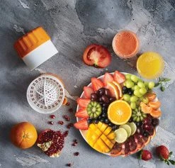 Borner BÖRNER Saftpresse | Fruchtpresse | Grün -KALDEWEI-Shop 8600365100 7006 prod 006