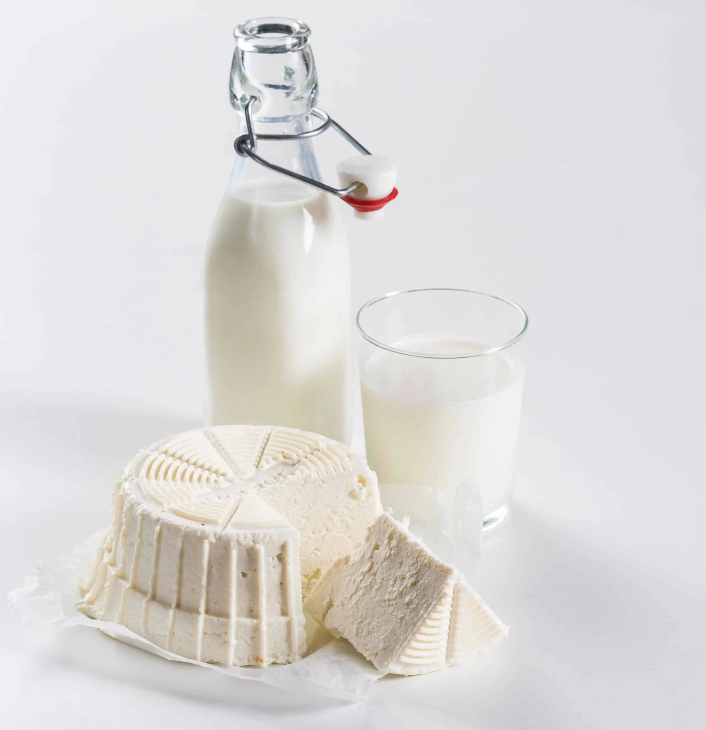 Börner Cheesemaker, Cheese Maker Käse Frischkäse Zubereiten Rezeptbuch Cheese Set Selbst Machen 5 Börner Cheesemaker, Cheese Maker Käse Frischkäse Zubereiten Rezeptbuch Cheese Set Selbst Machen – Bild 3